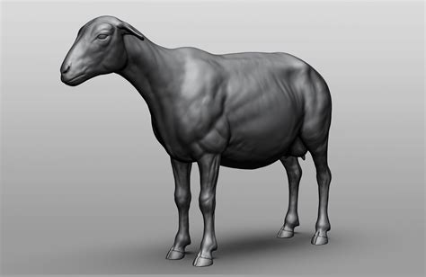 3D file Domestic animal collection - 9 animals 🐎・Design to download and ...