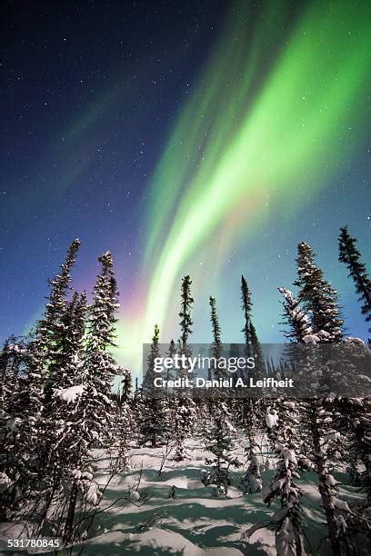 129 Denali National Park Northern Lights Stock Photos, High-Res ...