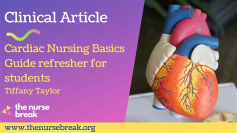 Amazing Cardiac Nursing Basics Guide For Students The Nurse Break