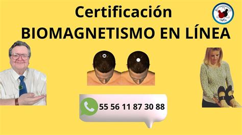 Certificaci N Biomagnetismo En L Nea Youtube