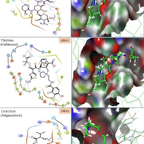 Binding Mode And Chemical Interactions Of Lead Molecules With Residues