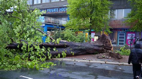 Unwetter Stamm Von Kastanie Verfehlt Auto In G Ttingen Knapp