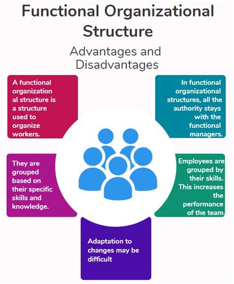 Functional Organizational Structure Advantages And Disadvantages