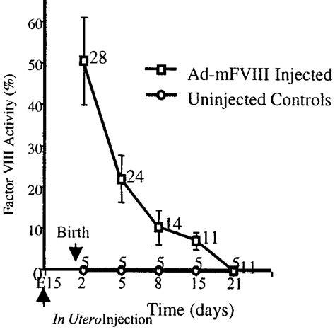 Duration Of FVIII Expression In Neonatal Hemophilic Mice After In Utero