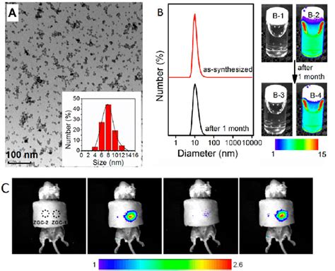 Small Size Zgc Nanoparticles Synthesized At C For Hours Using