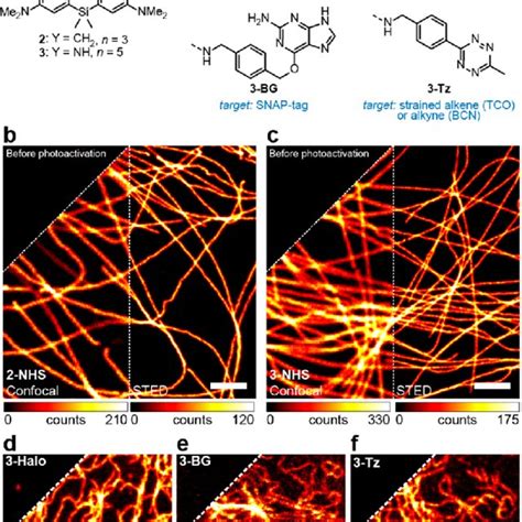 A Photoactivatable Large Stokes Shift Fluorescent Labels For