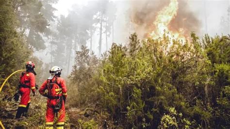 El incendio continúa con una evolución favorable y confían en