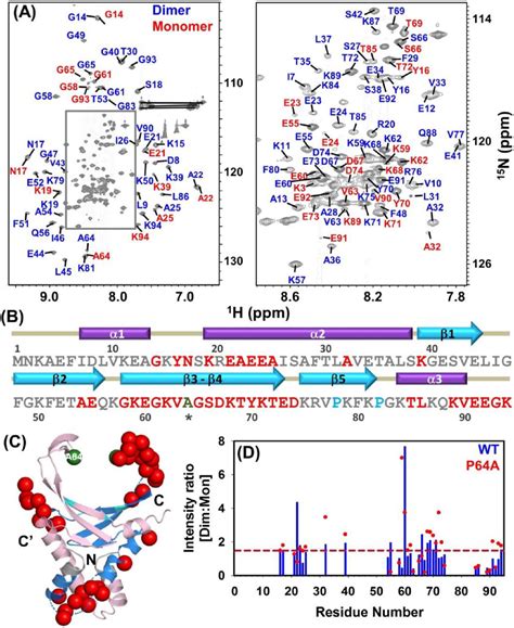 Backbone Resonance Assignment Of Hup P A Protein Using Nmr