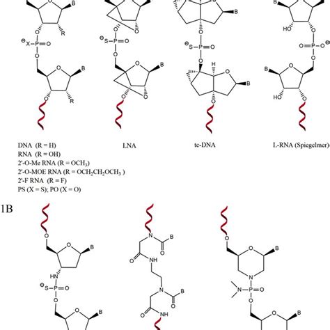 (PDF) Oligonucleotides: Current Trends and Innovative Applications in ...