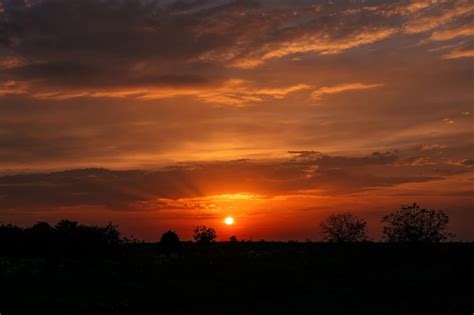 Premium Photo | Orange glow of a ssunset scene on sky sunset in the field