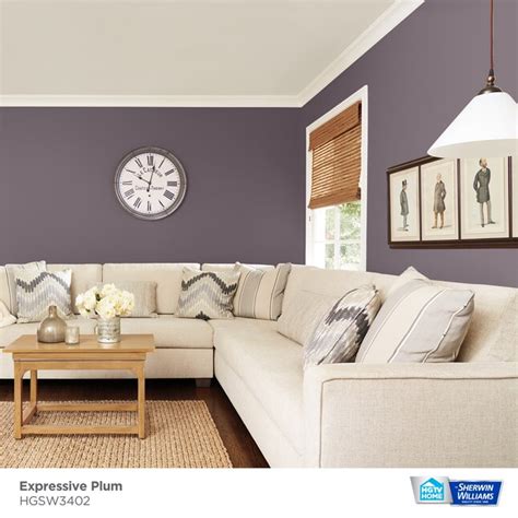 Hgtv Home By Sherwin Williams Showcase Semi Gloss Expressive Plum