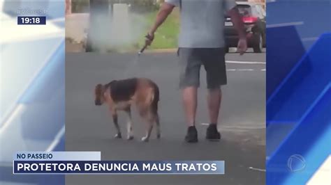 Vídeo homem é flagrado agredindo cachorro durante passeio na rua em