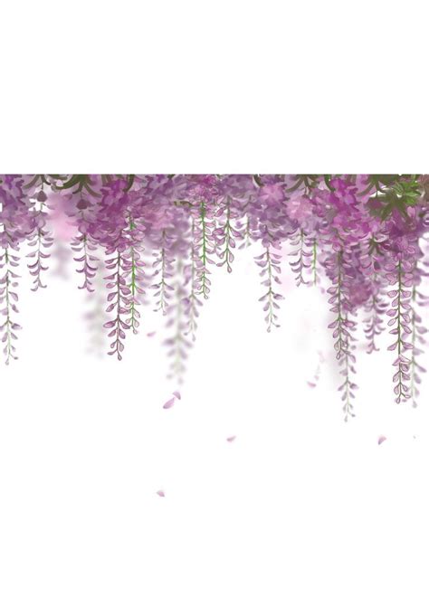 Purple Flowers Are Hanging From The Side Of A White Wall