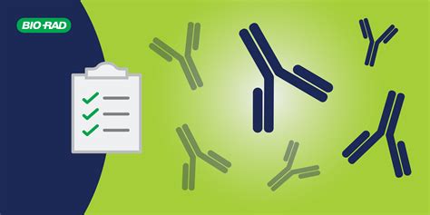 Verification of Autoantibody Serology Tests: Practical Considerations ...