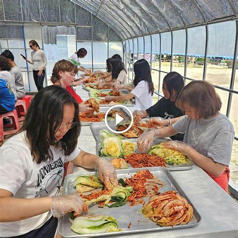 How to Make Traditional Korean Kimchi: A Cultural and Culinary Experience