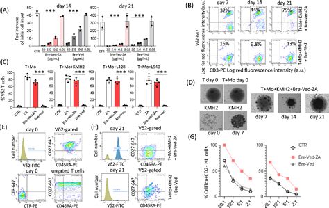 Figure From Antibodydrug Conjugate Made Of Zoledronic Acid And The