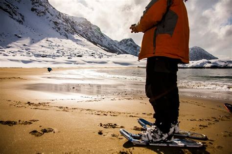 Premium Photo | Winter in lofoten islands, northern, norway.