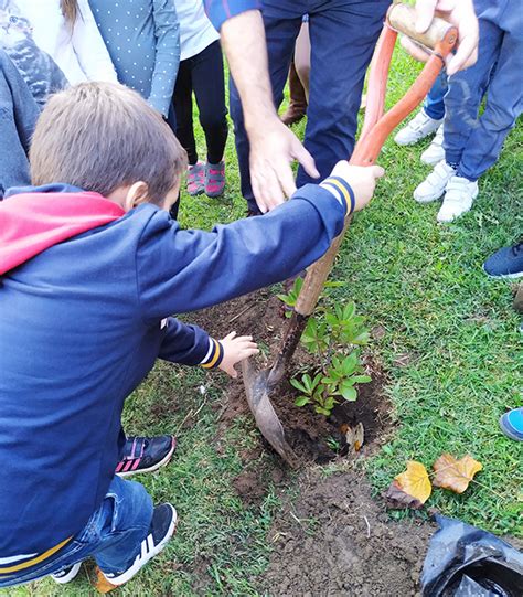 Hastear Da Bandeira Verde Eco Escolas Na Ebmea Agrupamento De Escolas