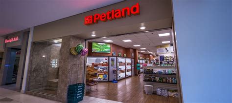 Why Is Petland So Expensive in 2024?-Newshub360.net