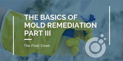 Mold Remediation Basics Part I Containment