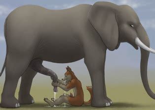 Mostly Gay Elephants Luscious Hentai Manga Porn