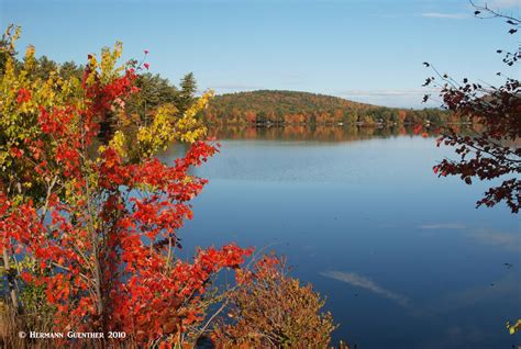 White Mountain National Forest