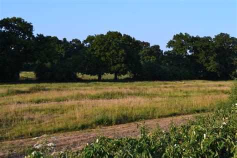 Field Beside B2177 Near Marwell David Martin Cc By Sa 2 0 Geograph