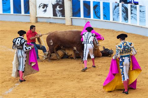 Free Images : performance, bullring, tradition, bullfighting, fair ...