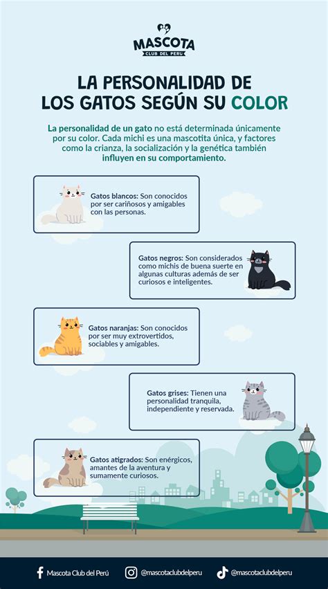 La Personalidad De Los Gatos Seg N Su Color Mascota Club Del Per