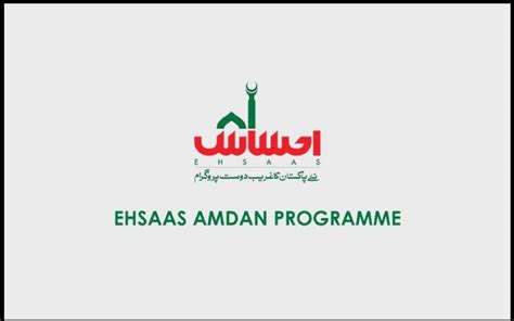 Ehsaas Amdan Program Online Registration