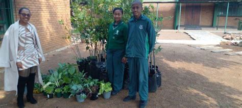 Anglo American Handover Numerous Vegetation To Glenview Primary School