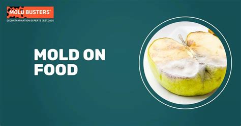 Mold On Food Ultimate Guide Can You Kill Mold By Cooking It