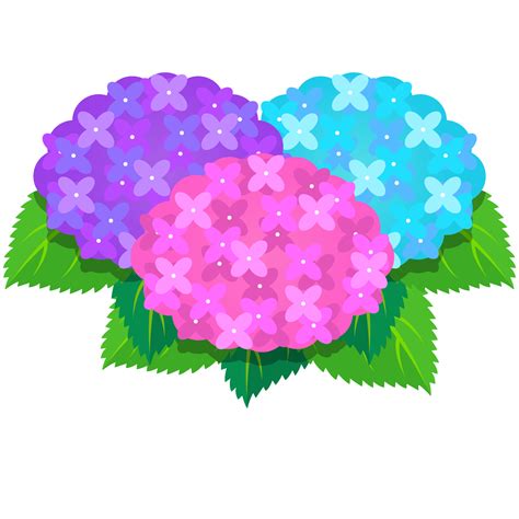 無料イラストあじさいの花 | フリー素材 紫陽花 イラスト – PEPN