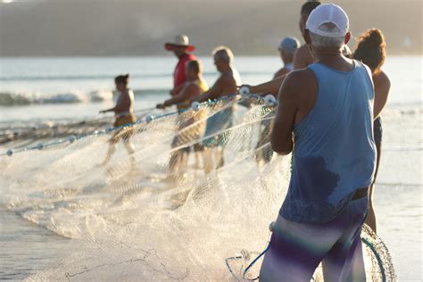 Men Holding on s Bamboo Pole While Fishing · Free Stock Photo