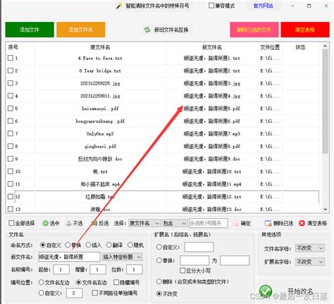 高效文件整理术：批量重命名、复制与归类文件的实战技巧文件夹分类管理和命名技巧 Csdn博客