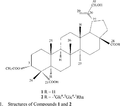 Figure 1 From Lupane Triterpene Carboxylic Acids From The Leaves Of