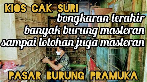 Edisi Terakhir Bongkaran Kios Cak Suri Pasar Burung Pramuka YouTube