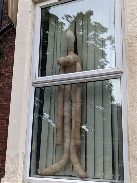 A terrifying sight in a local window : r/CasualUK