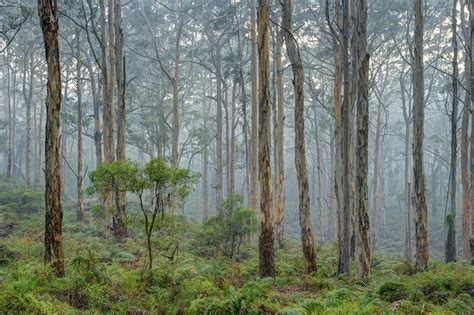 A Visual Celebration Of Western Australia Australian Geographic