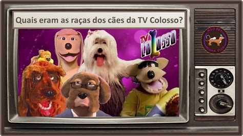 Quais As Ra As Dos Personagens Da Tv Colosso Youtube