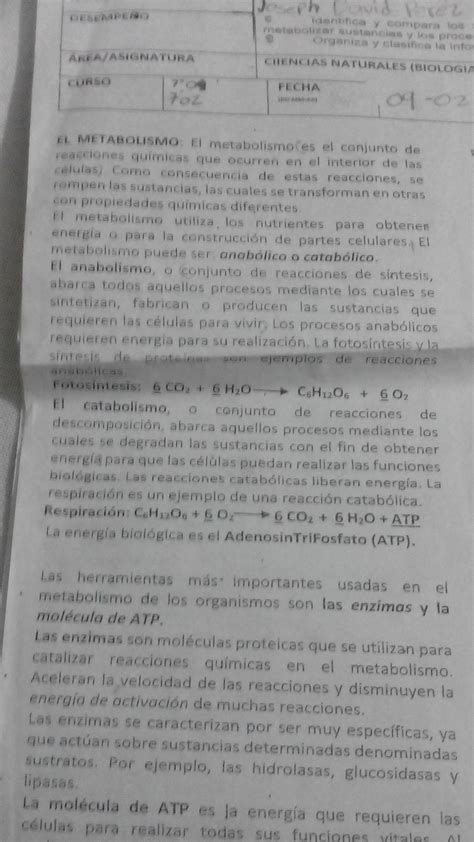 Un Resumen Con Tus Propias Palabras Sobre El Metabolismo Empezando Por