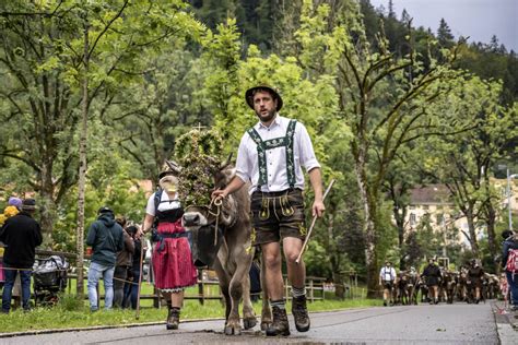 Das waren schönsten Viehscheid Momente im Allgäu 2022 Aktuelle