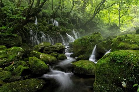 Wisata Aek Sipitu Dai Mata Air Dengan Tujuh Rasa Berbeda Di Pulau