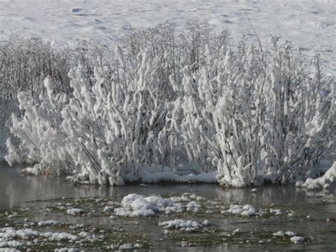 Free Images Winter Frost River Stream Ice Weather Rapid Arctic