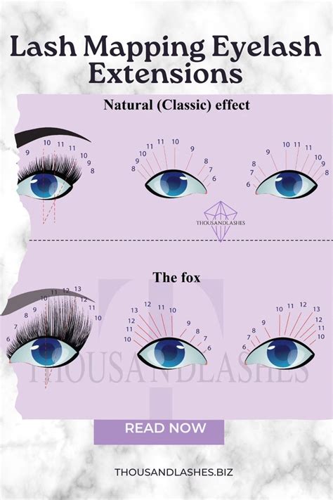 Lash Mapping Eyelash Extension A Comprehensive Guide