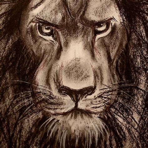 Lion Charcoal Drawing Of A Lion By Rebecca Rees Charcoal Drawing