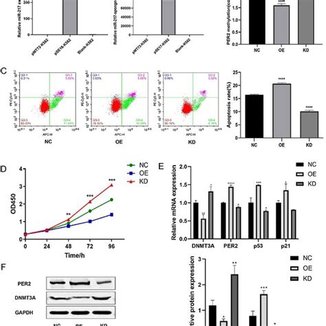 Effects Of Mir Overexpression Or Knock Down Of Cell Proliferation