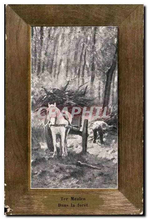 Carte Postale Ancienne FAntaisie Ter meulen Dans la forêt cheval