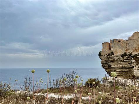 Old Town Of Bonifacio Built On Cliff Rocks Corsica France Stock