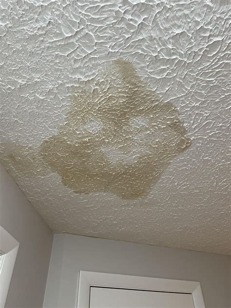 Does water damage darken as it dries? Or is there another leak? The